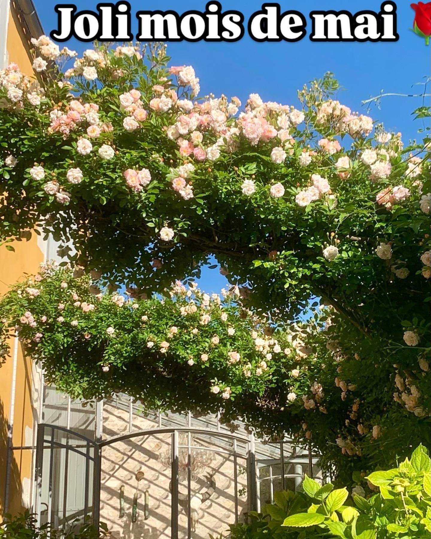 Chambres D'Hotes La Borderie Du Go Pres De La Rochelle - Nieul Exterior foto